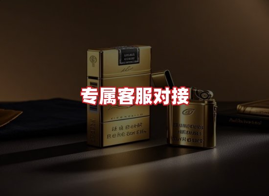 专业团队